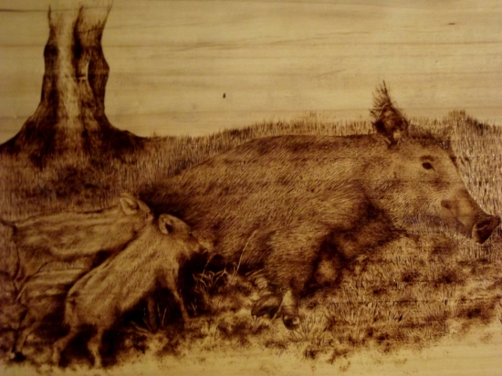 vypalovaná diviačica s mladymi