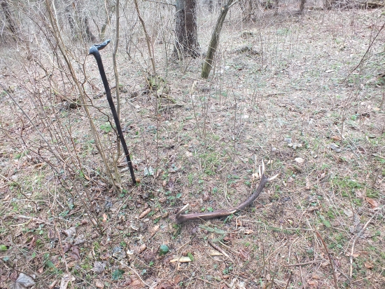 6 v tejto sezone zatial (najkrajši pohlad)