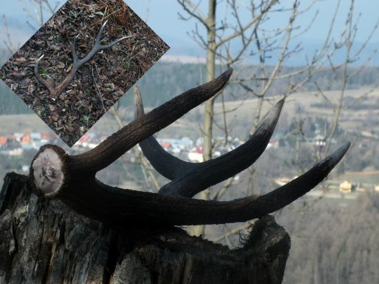 para dohladana po mesiaci