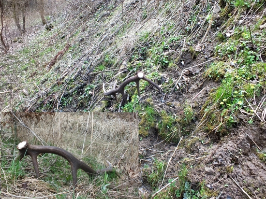 zhody tohtoročná para č.3