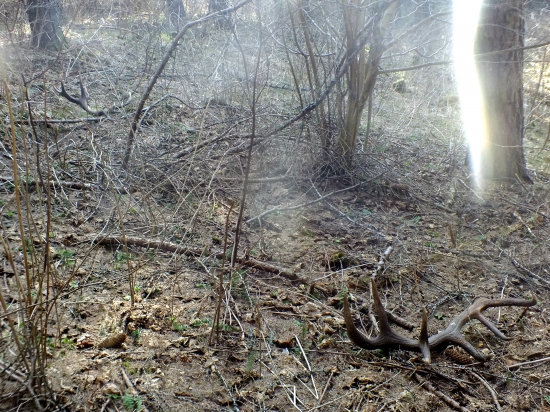 zašita krása 7,20kg