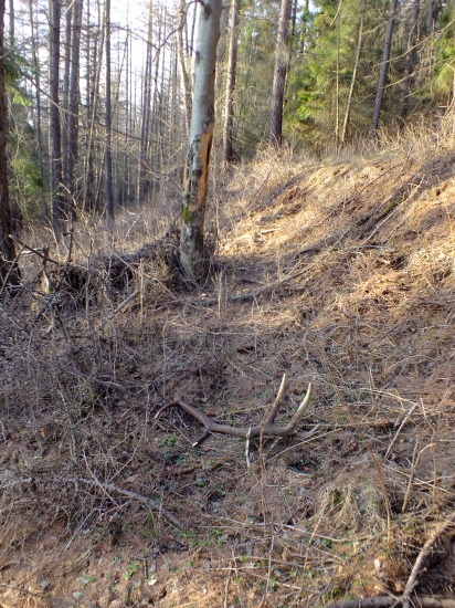 zaujímavý 14torák