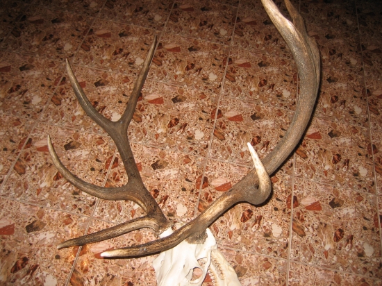 Moja tohtoročná 3vt. cca 169 bodov CIC