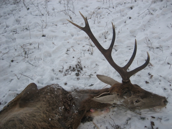 Môj spoločný s kamarátom Peťom z min.roku 3 vt.