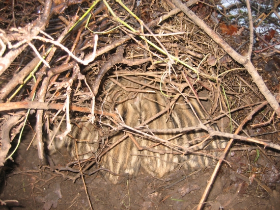 Novoročné prasiatka 7 kusov