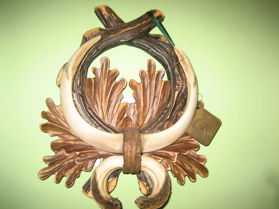 Môj zlatý diviačik 121,05 CIC