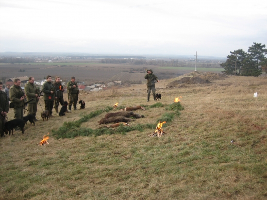 Uspešné ukončenie našej spoločnej poľovačky