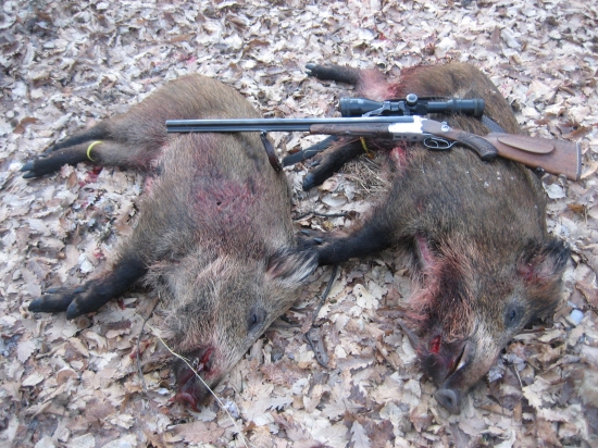 Dnes doobeda sa zadarilo.