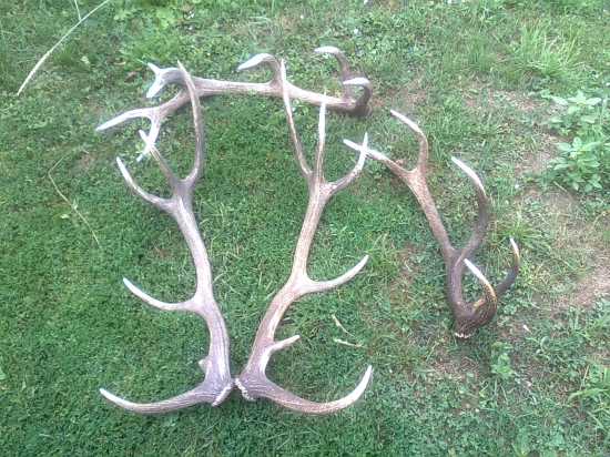 včerajší upršaný deň