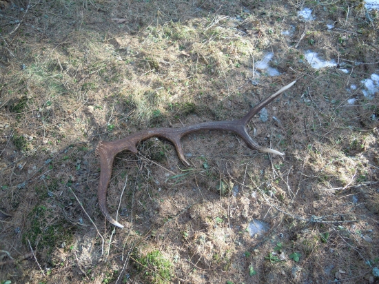 moj prvy paroh ... tak som este nikdy nebol rad