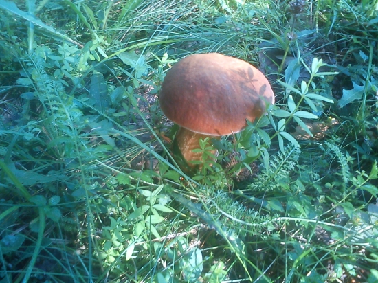 moja prvá fotka na LZ