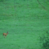to je moje uzemie.....