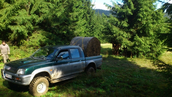 Uz ho len dogulat na miesto