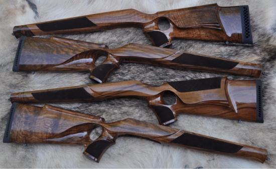 Blaser R8 profesional