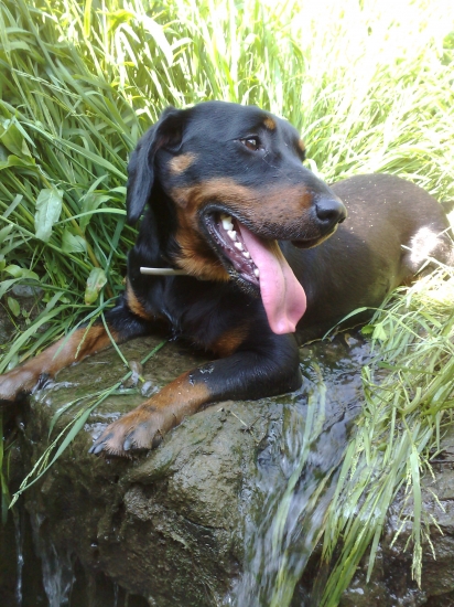 cez jeden veľmi horúci deň