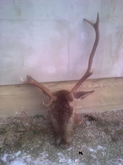 aj taký musia byť...