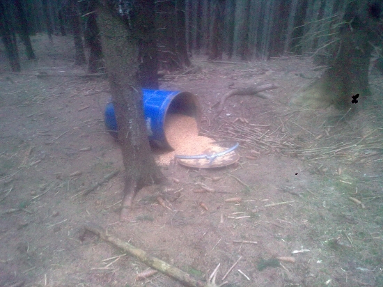 Zase Medveď na nášťeve...:)