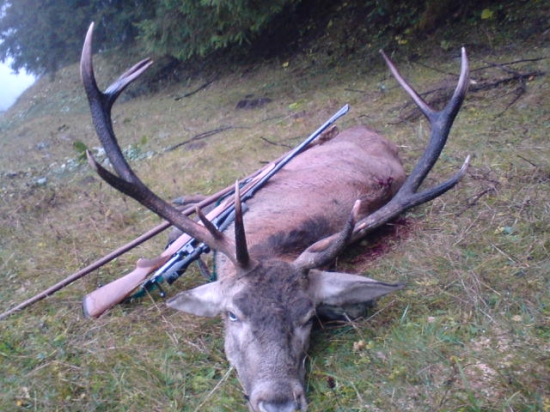 Nepravidelný 12torák...:)