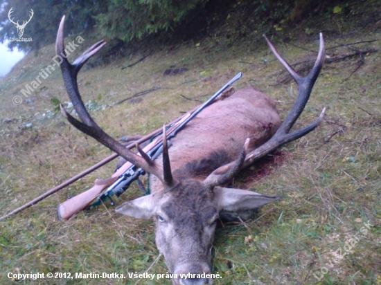 Nepravidelný 12torák...:)