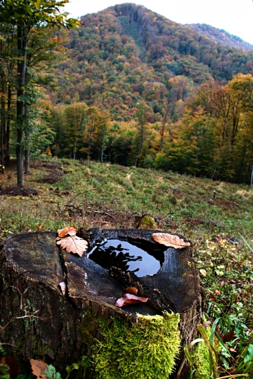 Jeseň