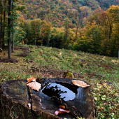 Jeseň