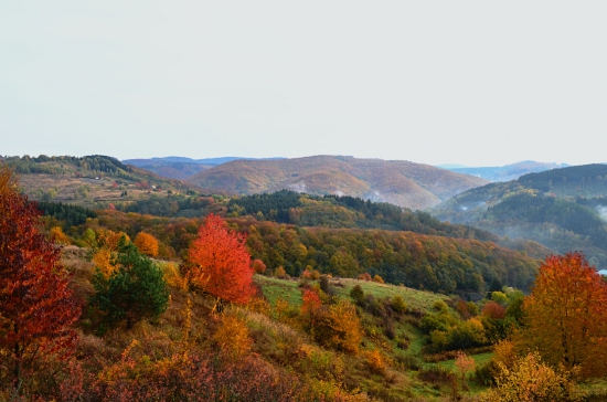 Jesenná