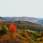Jesenná
