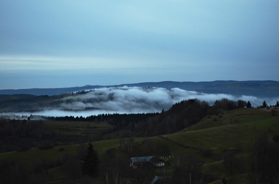 Ranná hmla