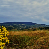 Poľana
