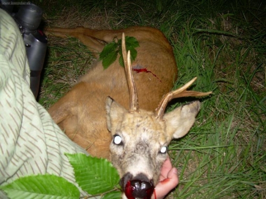 Kamarátova abnormalita