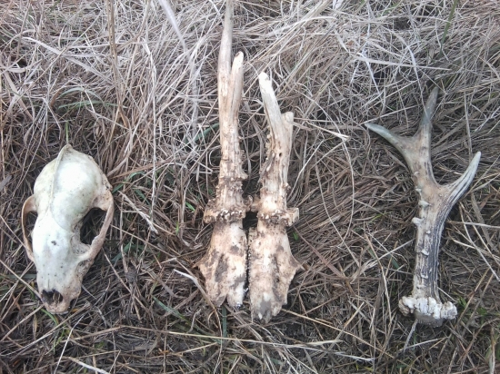 posledny den roka potesil ma