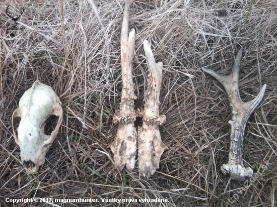 posledny den roka potesil ma