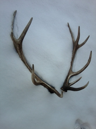 Sezona sa zacinala...