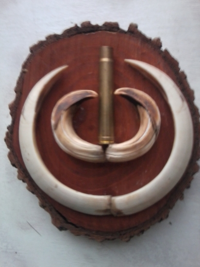 V strede je 375 H&H Magnum Impala