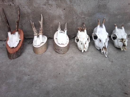 Moje najmenšie úhyny