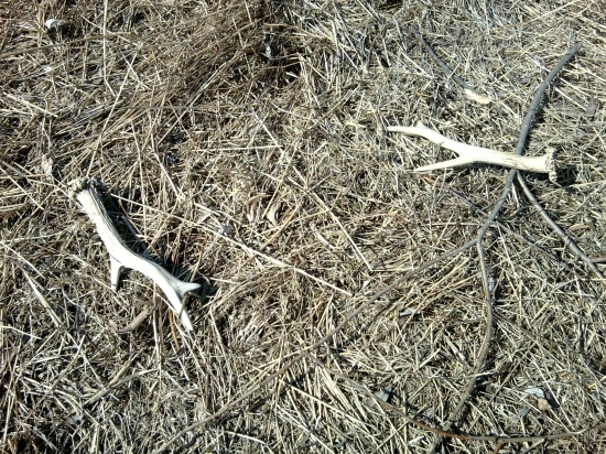 Takto som ich nasiel  :)))