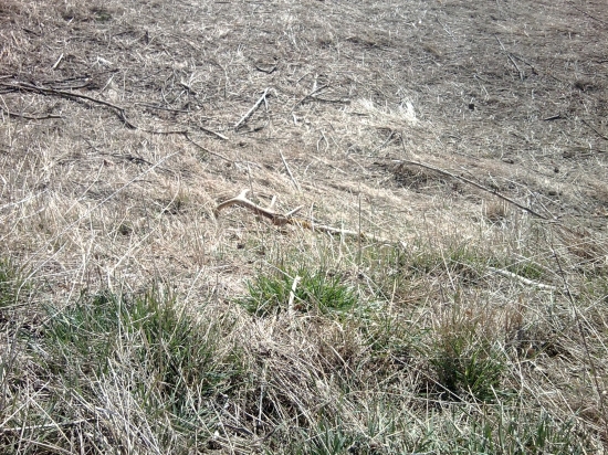 A uz ho mam  !   :))