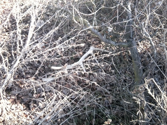 No uz nieco polezal... nech odpociva v pokoji