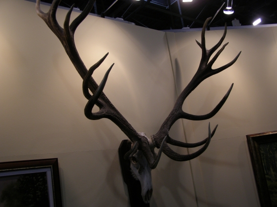 Na FEHOVA v madarsku :)))