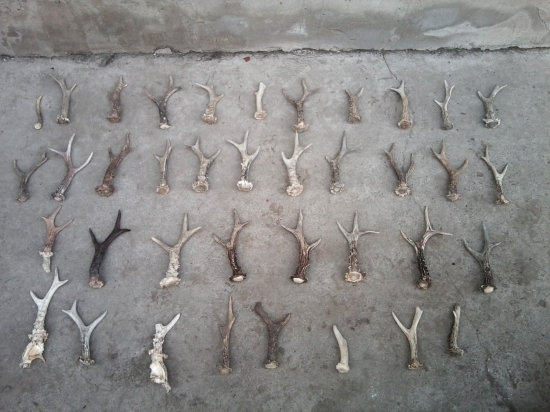 Výsledok za tri roky :)))