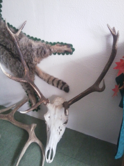 Lord 7   toto neni tvoj nahodou ?!?!?!