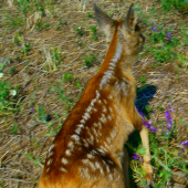 Prve kroky su vzdy najtazsie :)))