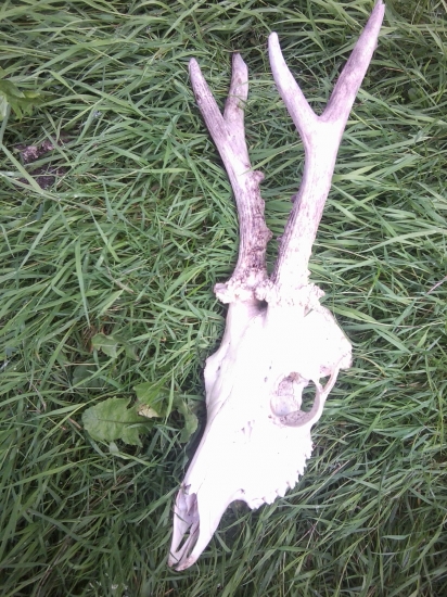 Kto povedal ze ma 450g ???