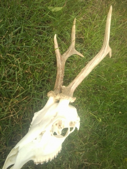 Cudne to mal nasadene ...