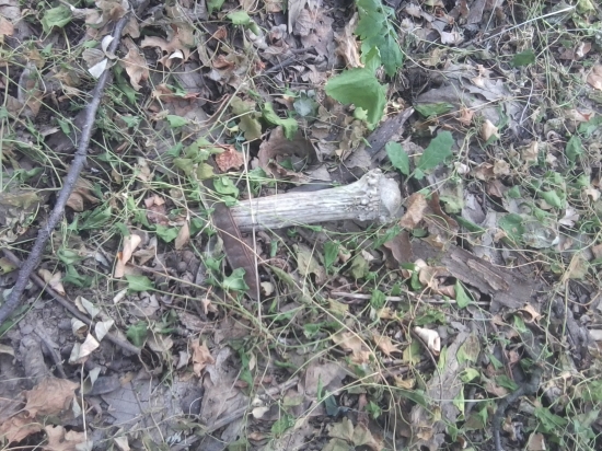 Kolko mu typnete ??? v cm ...