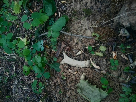 Šťastie v nešťastí