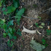 Šťastie v nešťastí