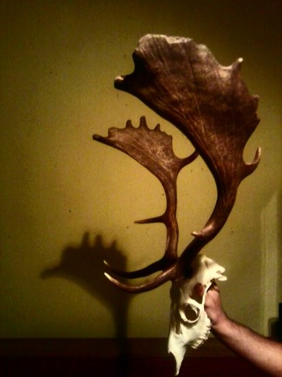 Aj v lete sa da najst  :D