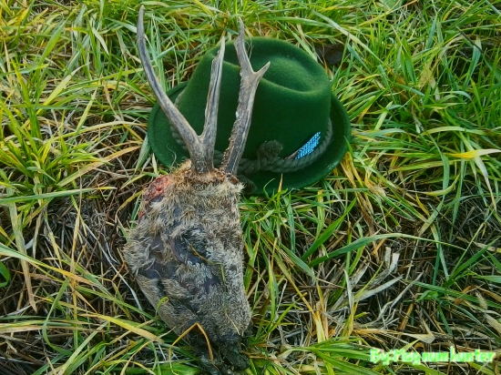 Oplatilo sa skoro ráno vstať