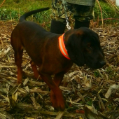 Dobry pomocnik pri dohladavke